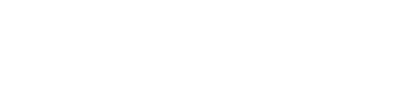 Rivo eSIM